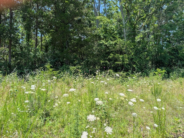 LOT140 Farm Rd Unit 1255, Shell Knob, MO 65747
