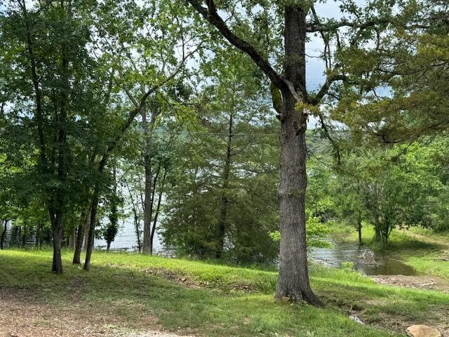83 Dawn Cir, Galena, MO 65656 - view of undeveloped land