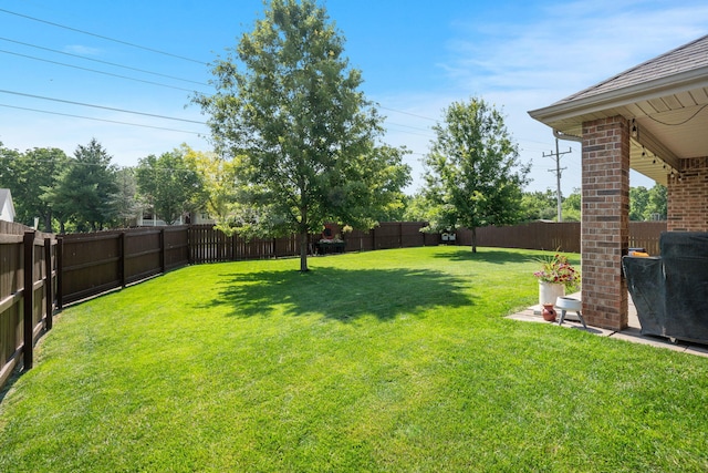 1002 S Joshua Ave, Republic, MO 65738 - view of yard
