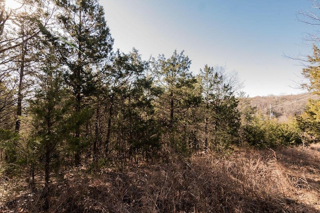 000 Shady Dr, Branson, MO 65616