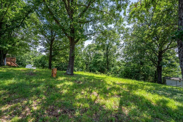 000 Hillcrest Dr, Kimberling City, MO 65686 - photo 10
