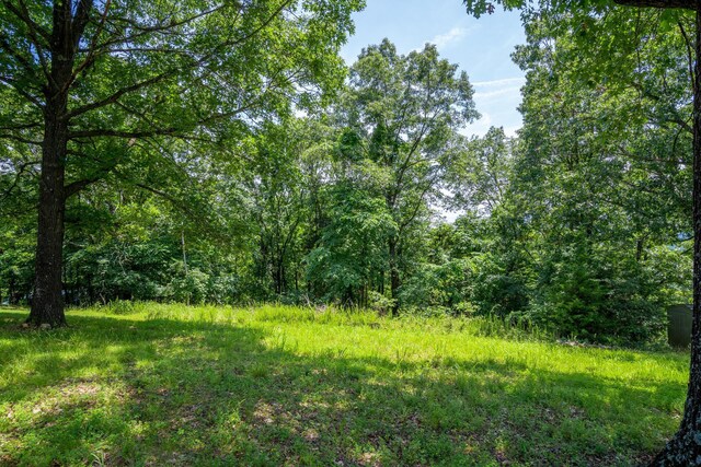 000 Hillcrest Dr, Kimberling City, MO 65686 - photo 9