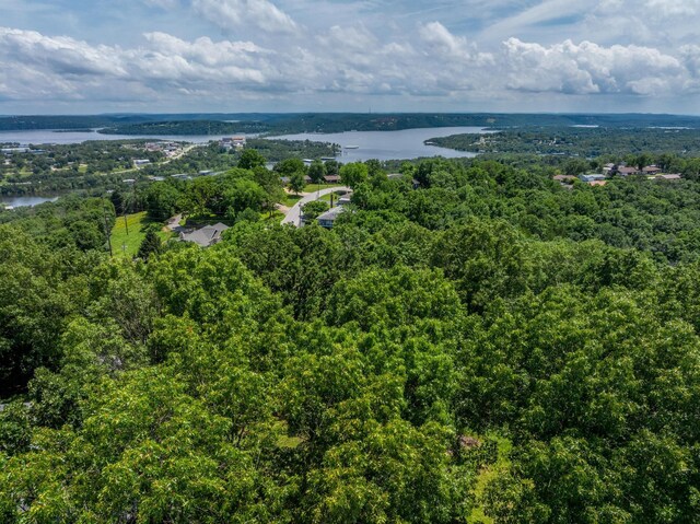 000 Hillcrest Dr, Kimberling City, MO 65686 - photo 20