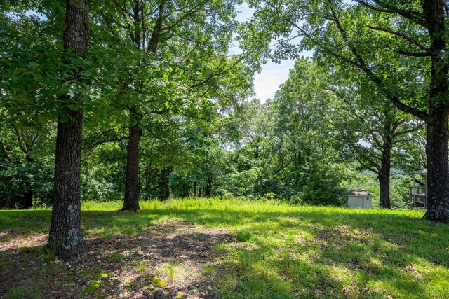 000 Hillcrest Dr, Kimberling City, MO 65686 - photo 4