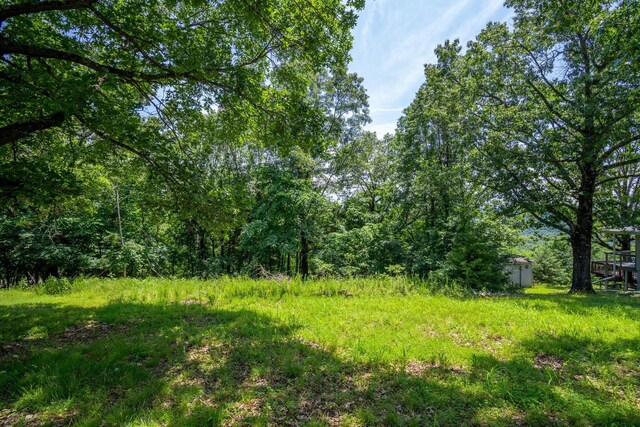 000 Hillcrest Dr, Kimberling City, MO 65686 - photo 8