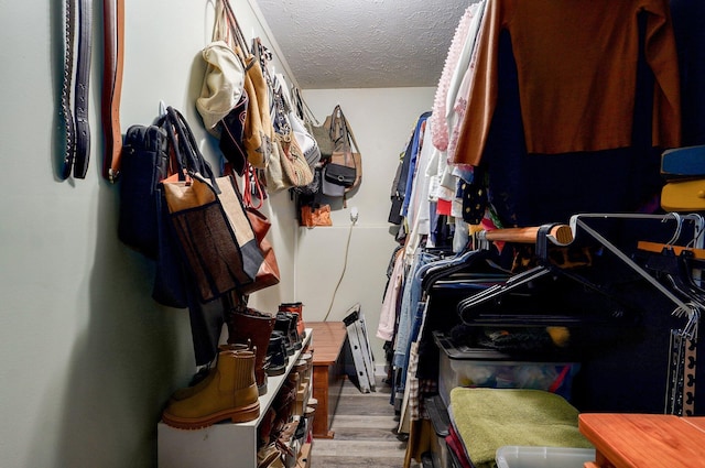 803 W Ridgecrest St, Ozark, MO 65721 - spacious closet with wood finished floors
