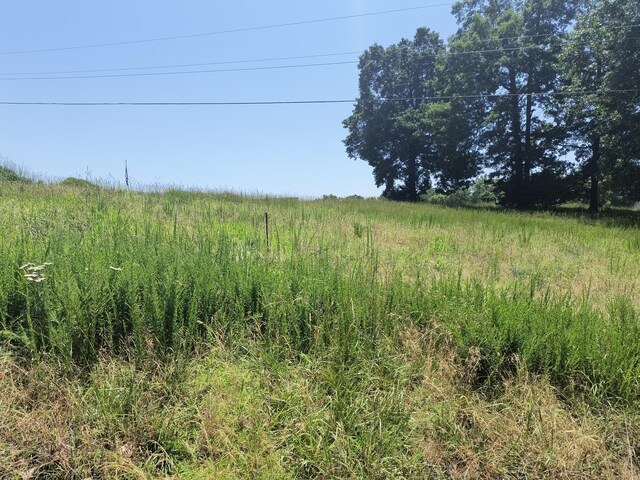 000 Eagle Wing Dr, Theodosia, MO 65761 - photo 5