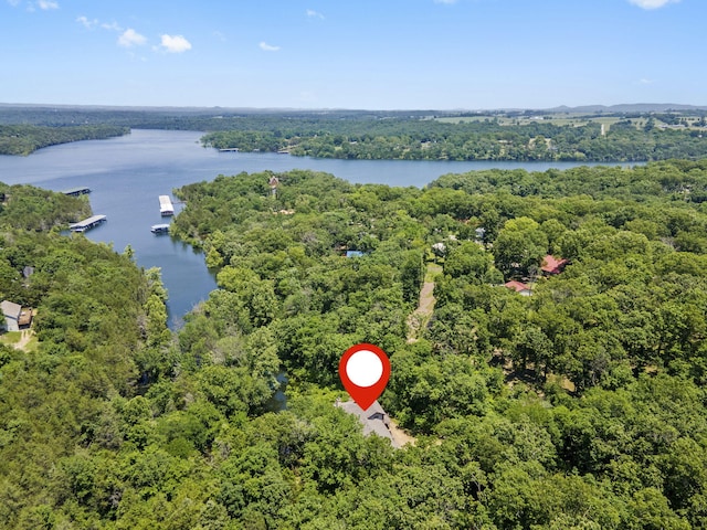 26517 Farm Rd Unit 1212, Eagle Rock, MO 65641 - aerial view of a forest and a large body of water