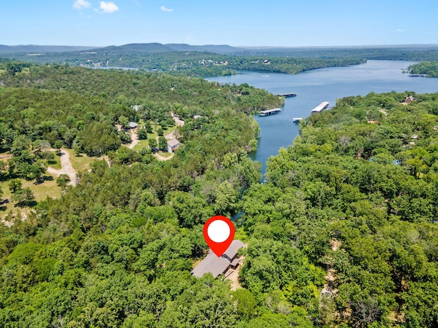 26517 Farm Rd Unit 1212, Eagle Rock, MO 65641 - view of property location featuring a water and mountain view and a forest