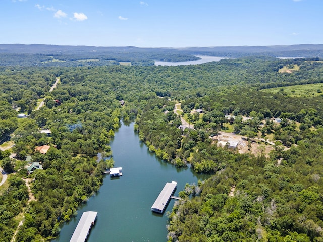 26517 Farm Rd Unit 1212, Eagle Rock, MO 65641 - aerial view of a forest and a nearby body of water
