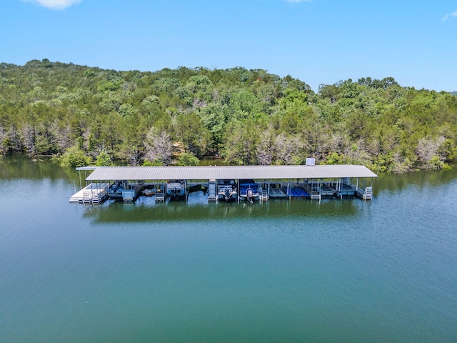 26517 Farm Rd Unit 1212, Eagle Rock, MO 65641 - dock area featuring a view of trees, boat lift, and a water view