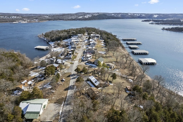379 Navajo Trl, Kimberling City, MO 65686