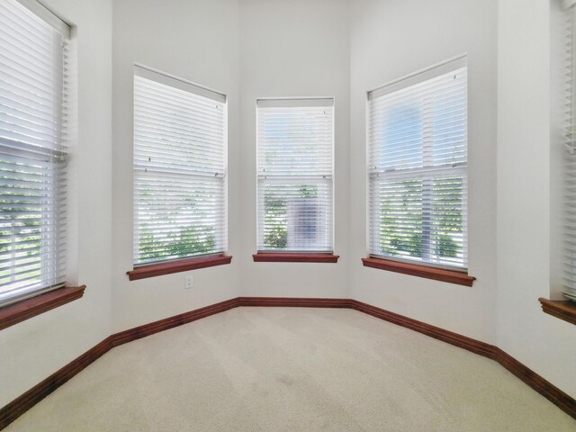 101 Appaloosa Trl, Saddlebrooke, MO 65630 - photo 48