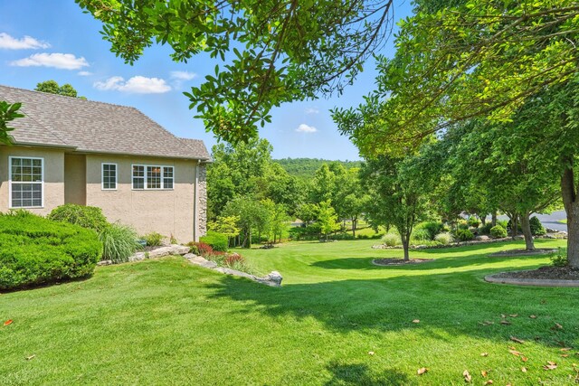 101 Appaloosa Trl, Saddlebrooke, MO 65630 - photo 4