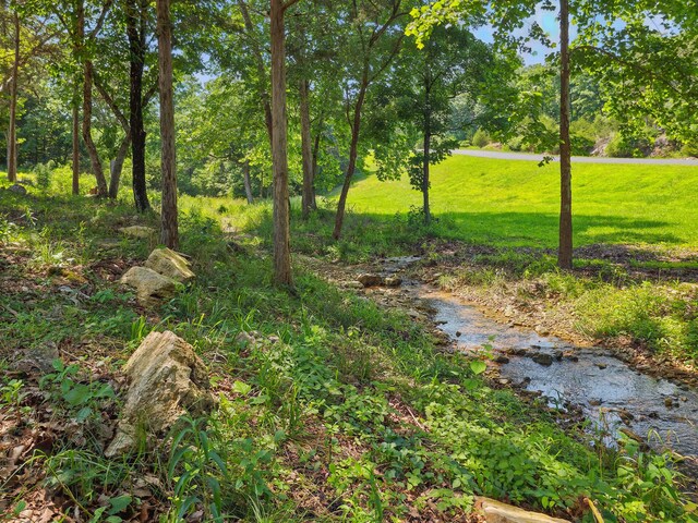 101 Appaloosa Trl, Saddlebrooke, MO 65630 - photo 8