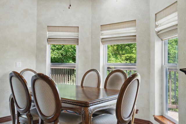 101 Appaloosa Trl, Saddlebrooke, MO 65630 - photo 23