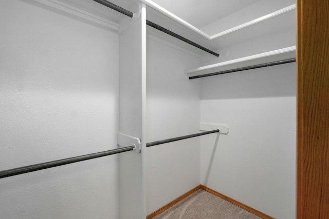 2411 W Dearborn St, Springfield, MO 65807 - walk in closet featuring light colored carpet