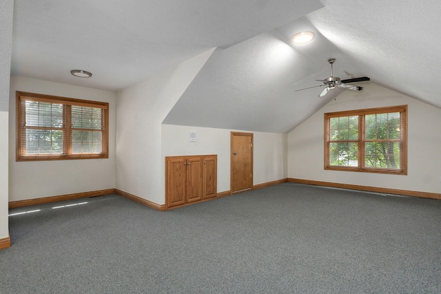 2411 W Dearborn St, Springfield, MO 65807 - bonus room with carpet, vaulted ceiling, a ceiling fan, and a textured ceiling