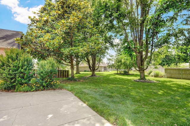 2411 W Dearborn St, Springfield, MO 65807 - view of yard