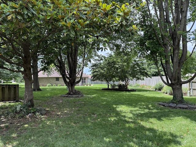 2411 W Dearborn St, Springfield, MO 65807 - view of yard