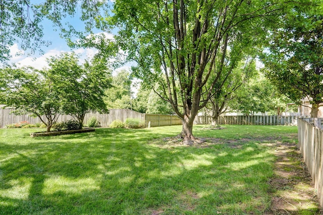 2411 W Dearborn St, Springfield, MO 65807 - view of fenced backyard