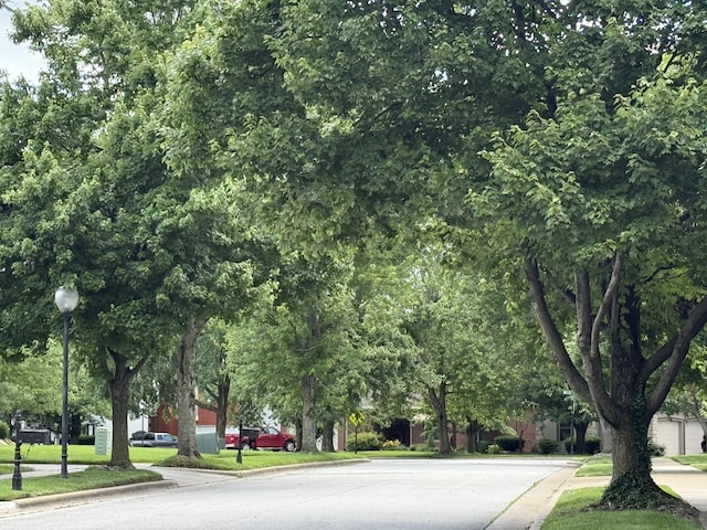 2411 W Dearborn St, Springfield, MO 65807 - view of asphalt road with curbs and street lighting