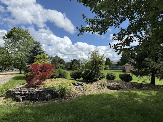 2411 W Dearborn St, Springfield, MO 65807 - view of grassy yard