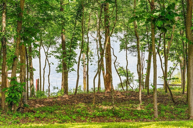 159 Oak Tree Point Ln, Shell Knob, MO 65747 - water view
