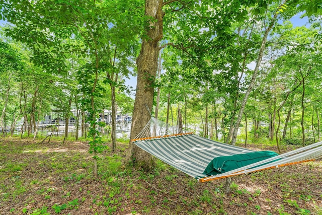 159 Oak Tree Point Ln, Shell Knob, MO 65747 - view of yard with view of wooded area