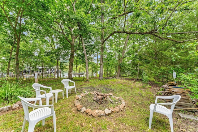 159 Oak Tree Point Ln, Shell Knob, MO 65747 - view of yard