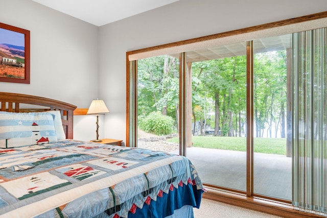 159 Oak Tree Point Ln, Shell Knob, MO 65747 - bedroom with multiple windows and access to exterior
