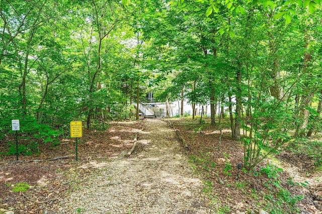 159 Oak Tree Point Ln, Shell Knob, MO 65747 - view of yard