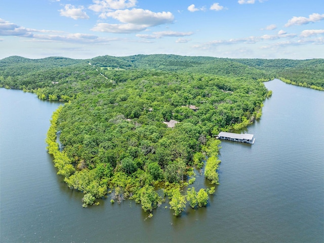 159 Oak Tree Point Ln, Shell Knob, MO 65747 - bird's eye view of a heavily wooded area and a large body of water