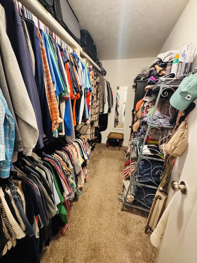 607 E Selby Dr, Nixa, MO 65714 - spacious closet with carpet flooring