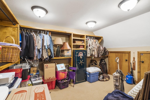 1029 Riverview Rd, Clever, MO 65631 - walk in closet featuring carpet floors and lofted ceiling