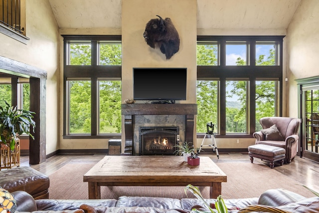 1029 Riverview Rd, Clever, MO 65631 - living area featuring a lit fireplace, wood finished floors, a towering ceiling, and plenty of natural light