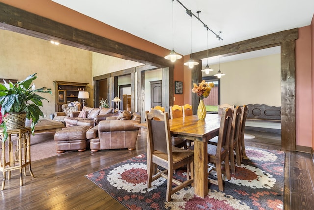 1029 Riverview Rd, Clever, MO 65631 - dining room featuring rail lighting and wood-type flooring