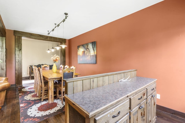 1029 Riverview Rd, Clever, MO 65631 - dining area featuring dark wood-style floors and track lighting