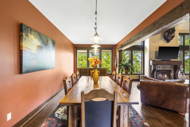 1029 Riverview Rd, Clever, MO 65631 - dining room with hardwood / wood-style flooring, a lit fireplace, and plenty of natural light