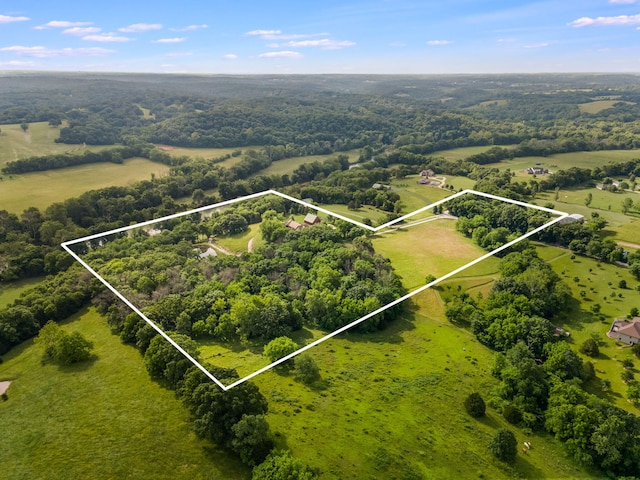 1029 Riverview Rd, Clever, MO 65631 - view of rural area with property boundaries highlighted