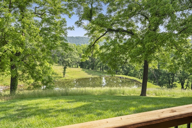 1029 Riverview Rd, Clever, MO 65631 - view of grassy yard with a water view