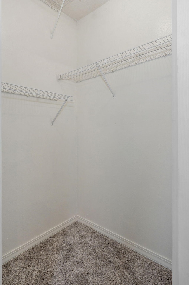 713 River Rock Ct, Nixa, MO 65714 - walk in closet with carpet floors