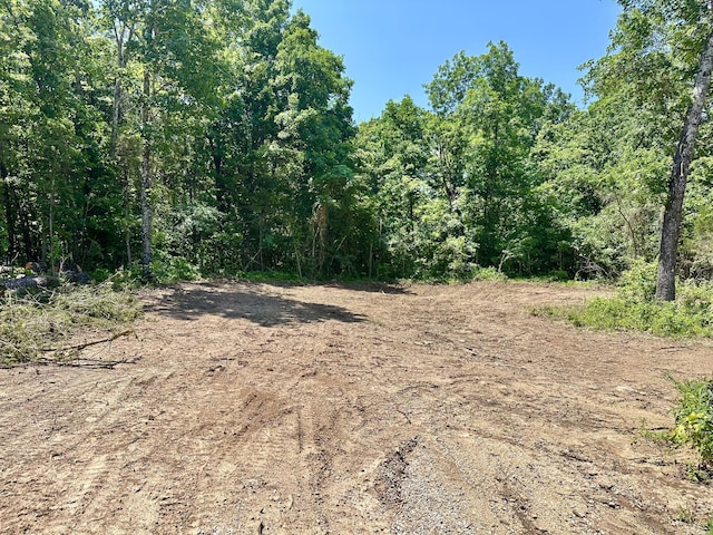 97 Sparrow Ln, Shell Knob, MO 65747 - photo 68