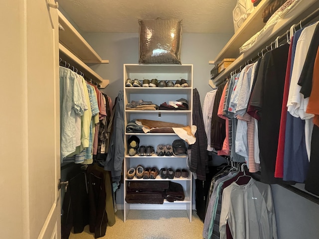 4910 S Stanton Ave, Springfield, MO 65810 - view of spacious closet