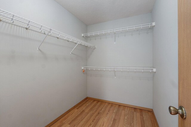 1651 S Mahn Ct, Springfield, MO 65802 - spacious closet with light wood-style floors