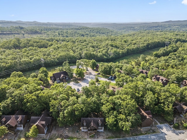 76 Bells Ave Unit 98, Branson West, MO 65737 - aerial view of a heavily wooded area