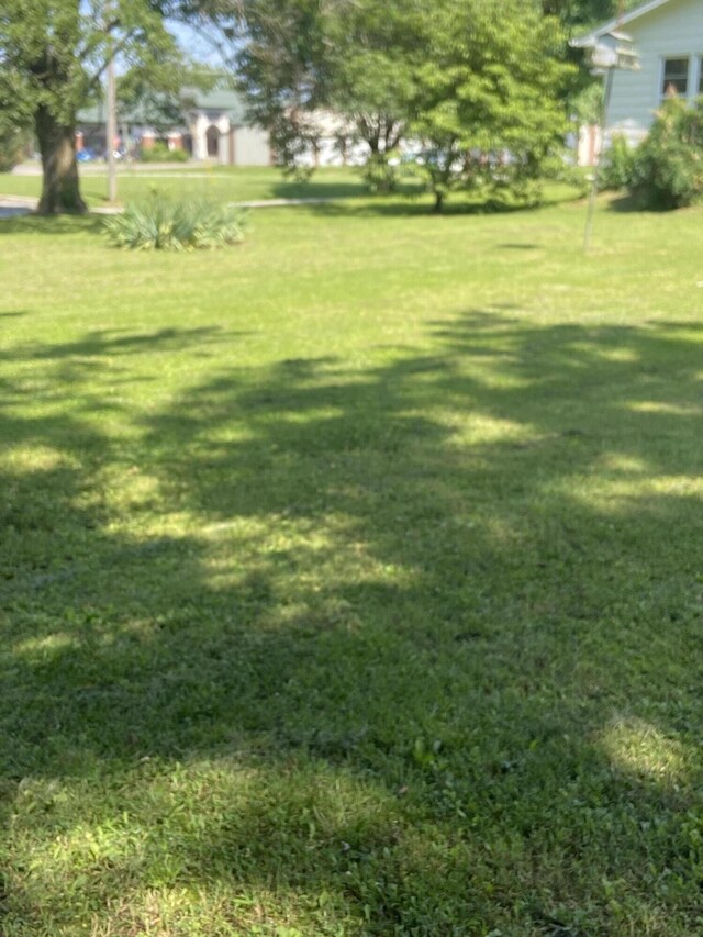 513 Meng St, Greenfield, MO 65661 - view of grassy yard
