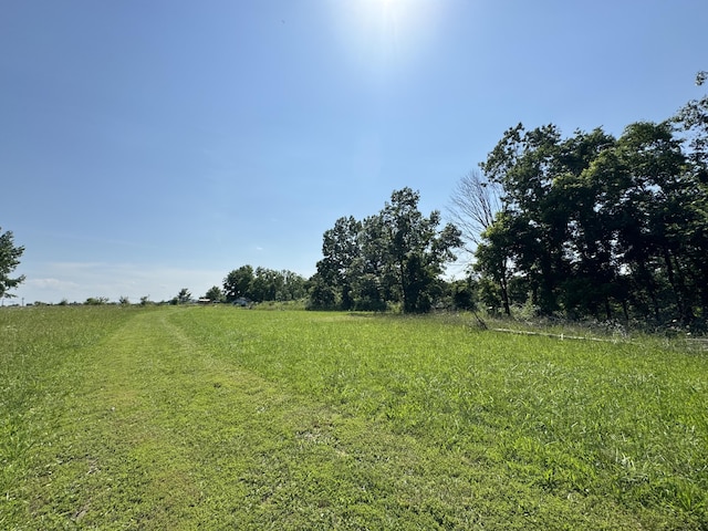 12 Willhoit Ln, Theodosia, MO 65761 - view of yard featuring a rural view