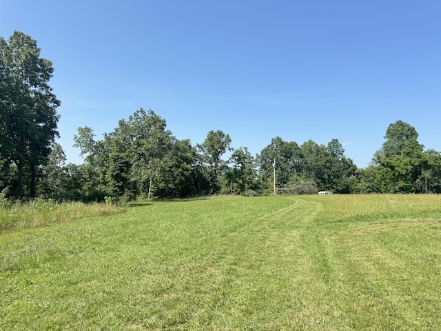 12 Willhoit Ln, Theodosia, MO 65761 - view of green lawn