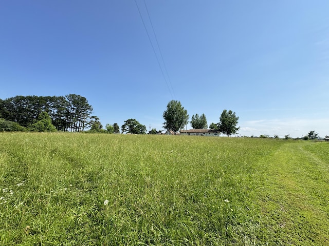 12 Willhoit Ln, Theodosia, MO 65761 - view of yard with a view of countryside